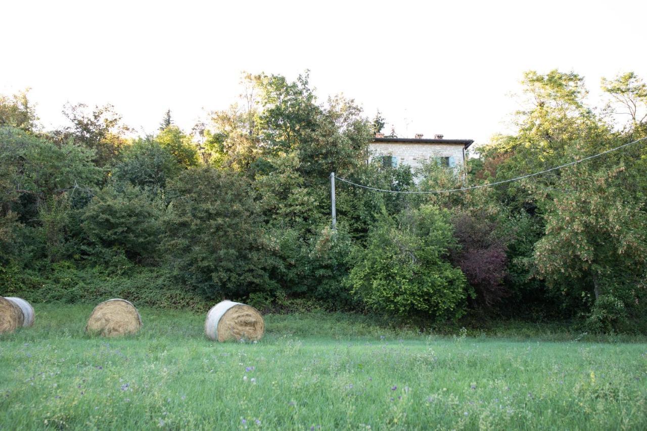 La Marcona Apartment Serramazzoni Exterior photo